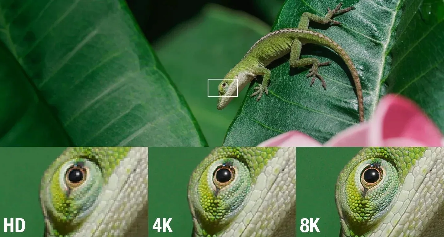 4K/8K видео: какой ПК нужен для комфортной работы?