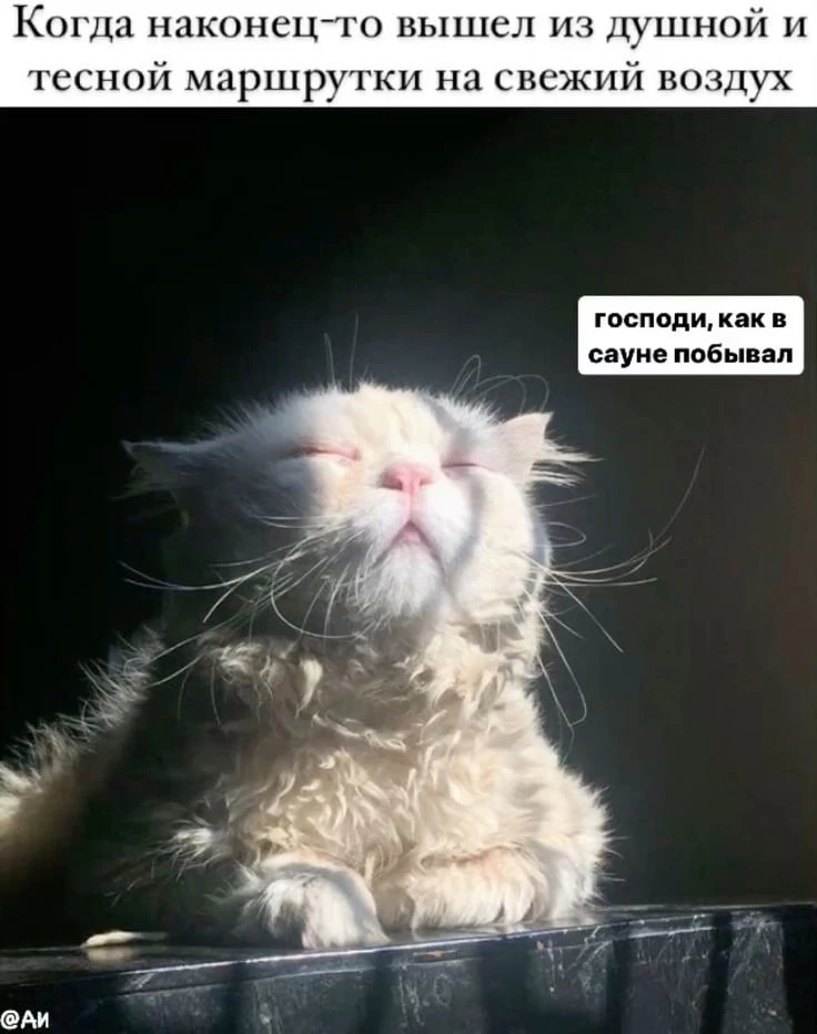 «Люди все мокрые, с платочками»: тюменцы жалуются на неработающие кондиционеры в общественном трансп