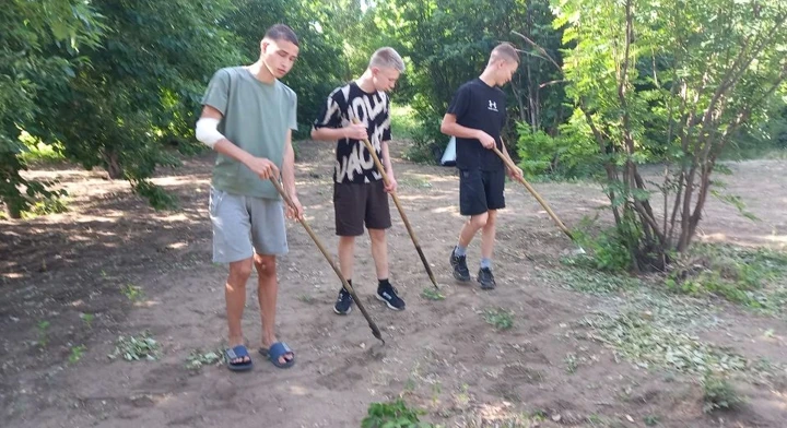 Жизнь на пришкольном участке