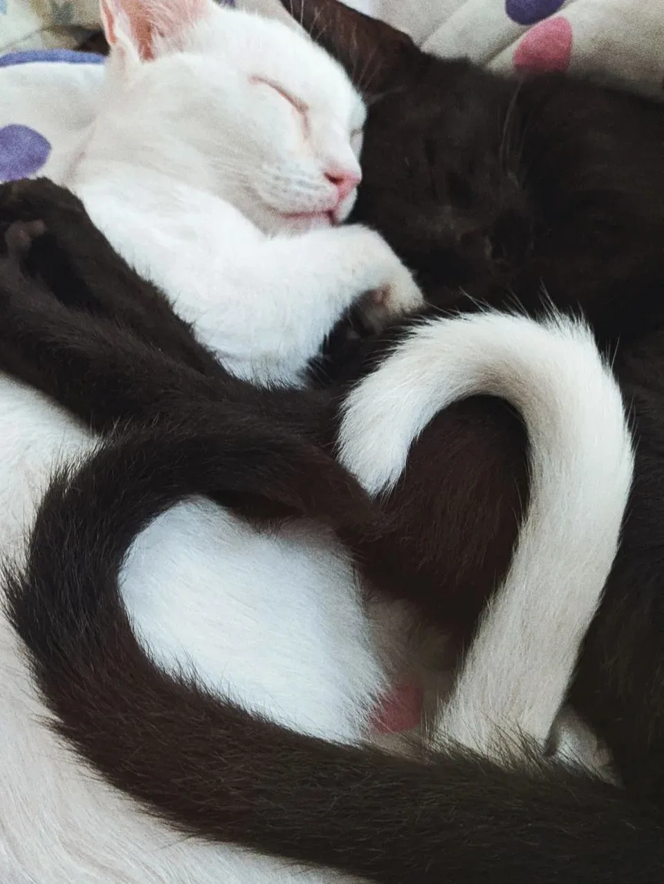 Заряжаемся милотой с самого утра 😍