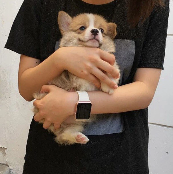 Булочка 😍