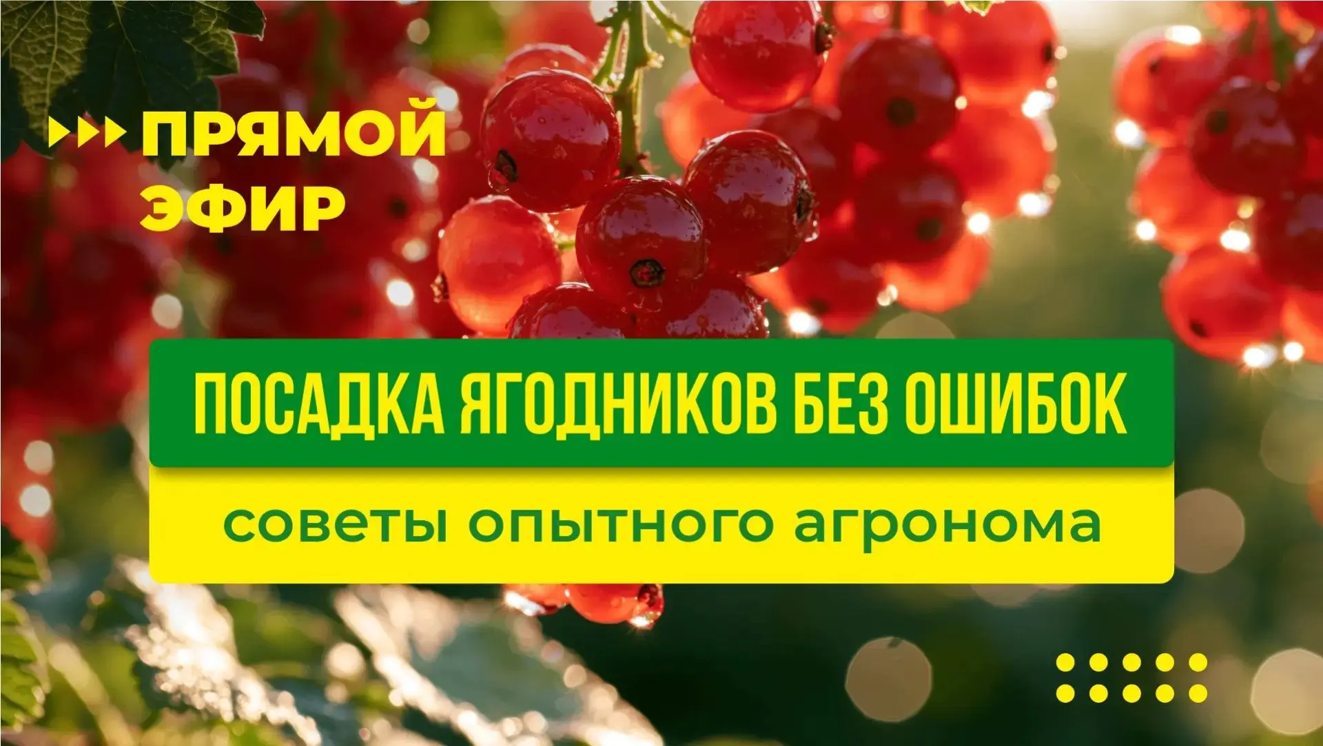 https://vkvideo.ru/video-125512651_456241449