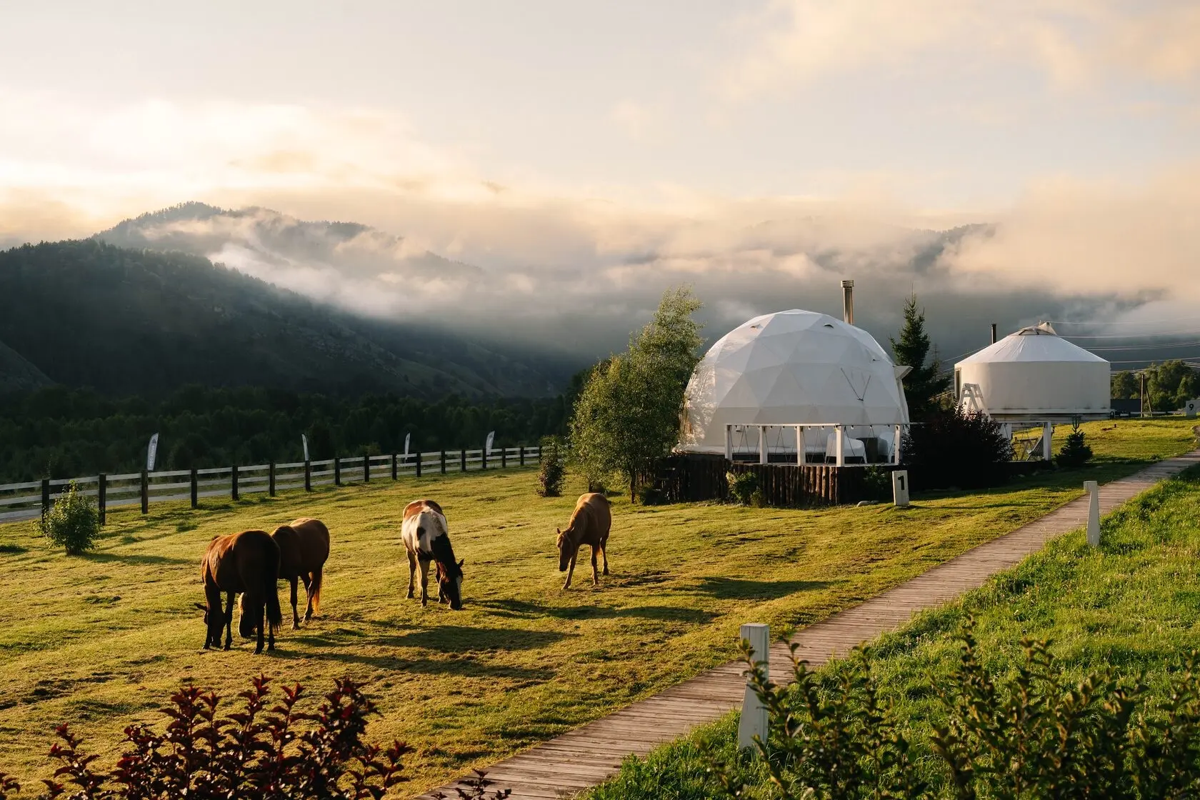 Купольный отель на АЛТАЕ🌿⛰️