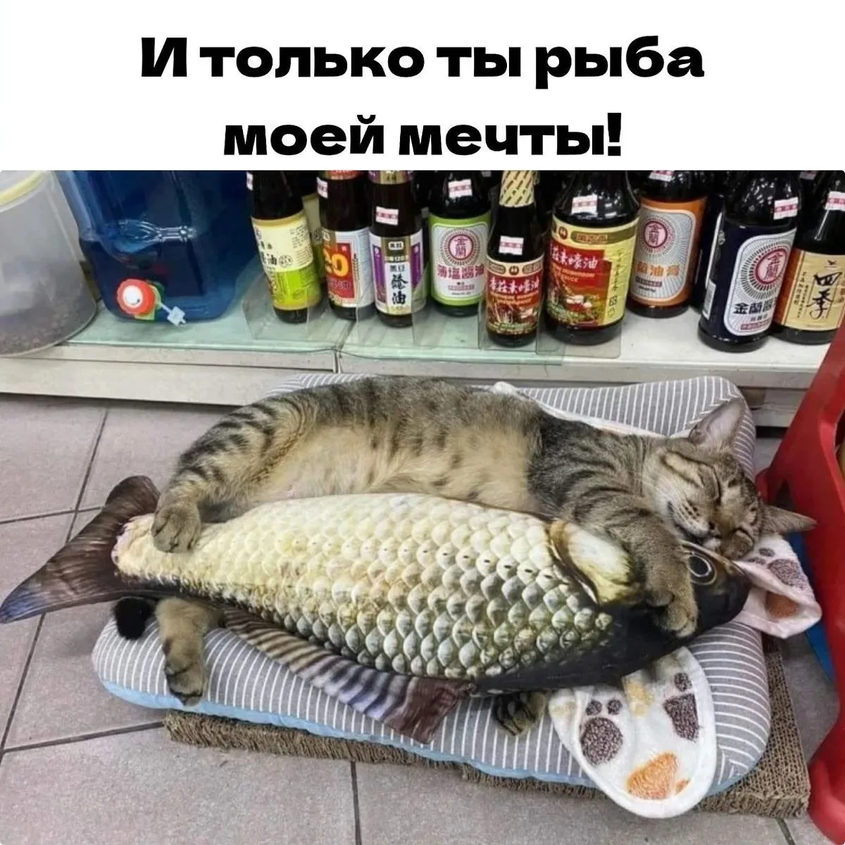 За день мы устали очень всем пока👋 спокойной ночи😴💤😘