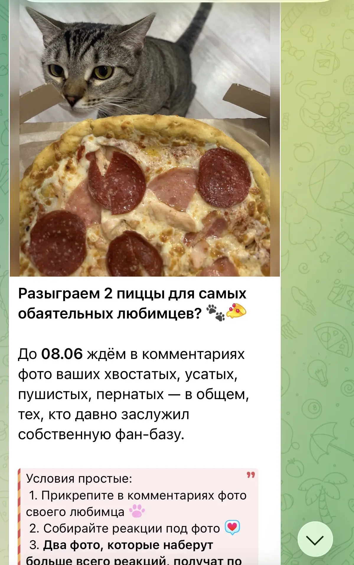 🤩 Сегодня объявим победителей!