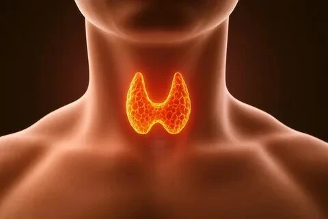 🔔 Неделя профилактики заболеваний эндокринной системы! 🔔
