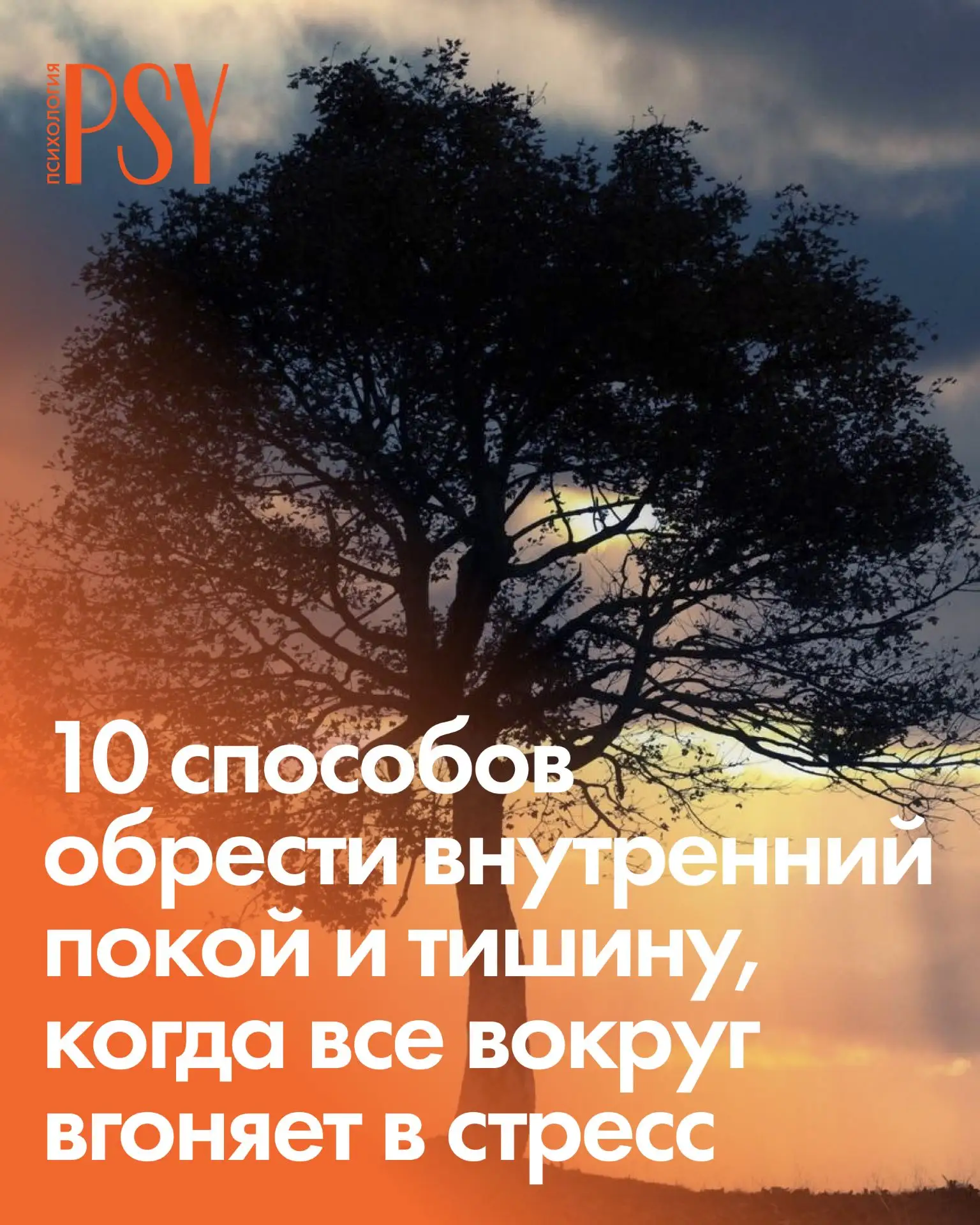 10 способов обрести внутренний покой и тишину, когда все вокруг вгоняет в стресс

Представьте: подхо