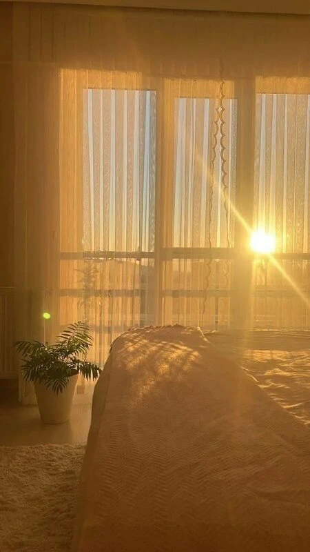 ☀️Желаю, чтобы сегодня всё складывалось так, как нужно именно тебе: легко, радостно и по-настоящему 