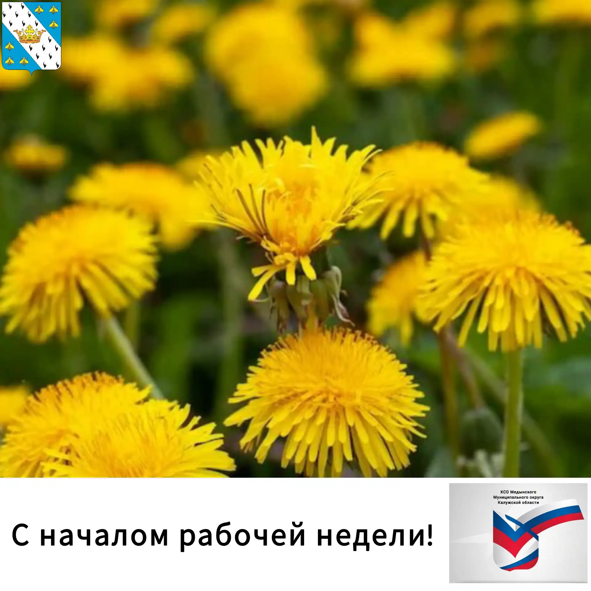 ❤️ Доброе утро, друзья!