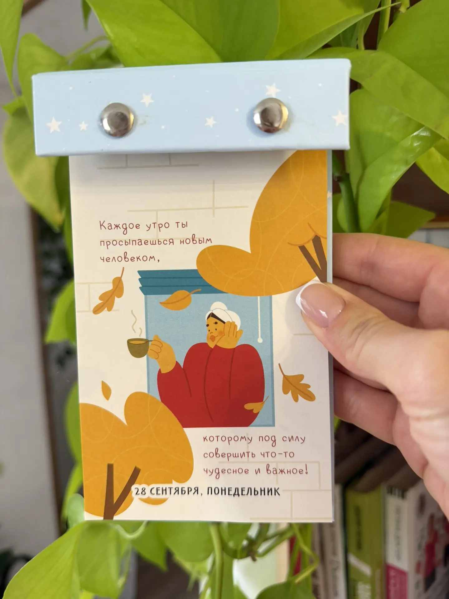 Доброе утро ☀️