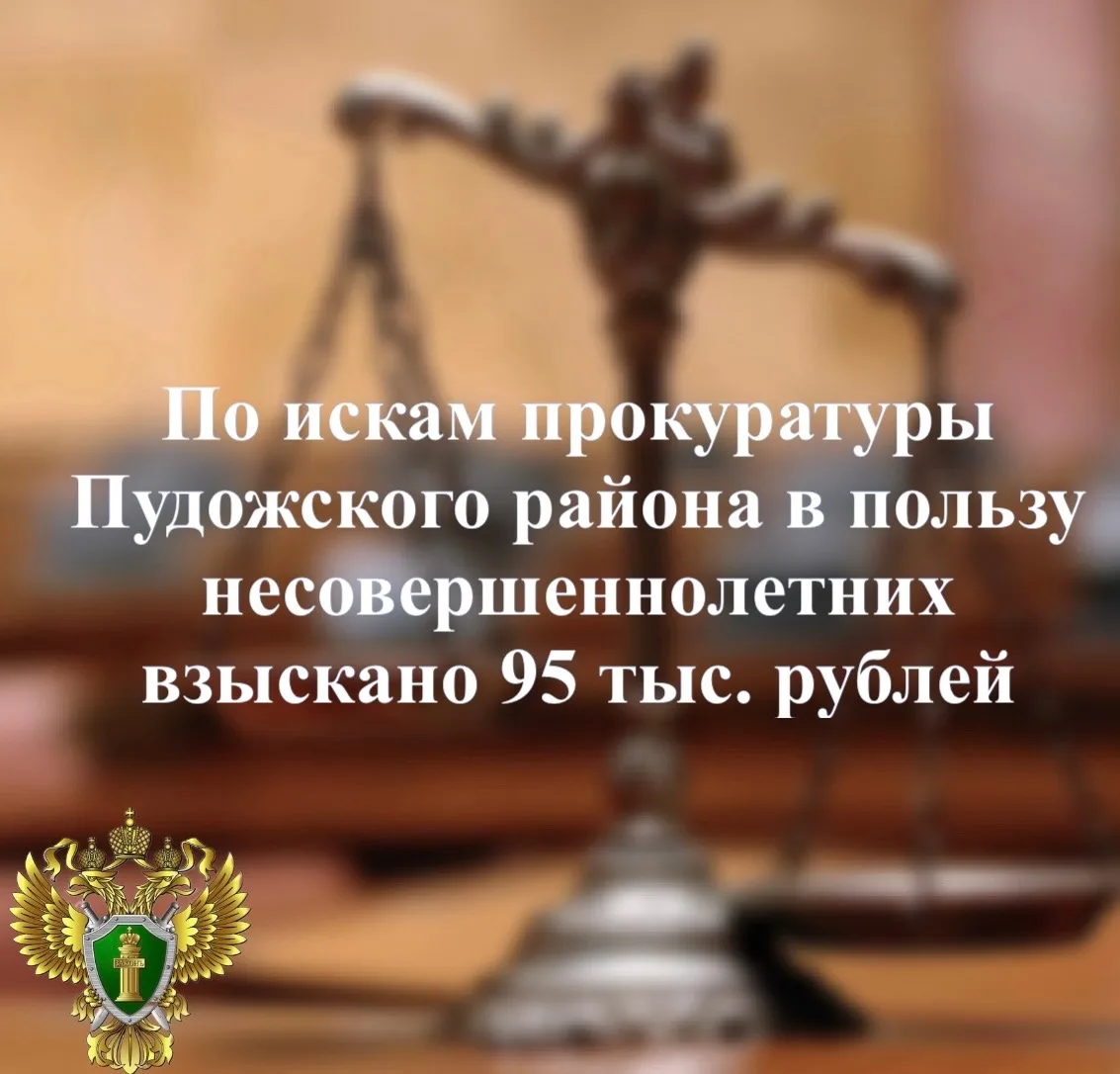 ✅ Прокуратура Пудожского района по обращениям законных представителей несовершеннолетни...