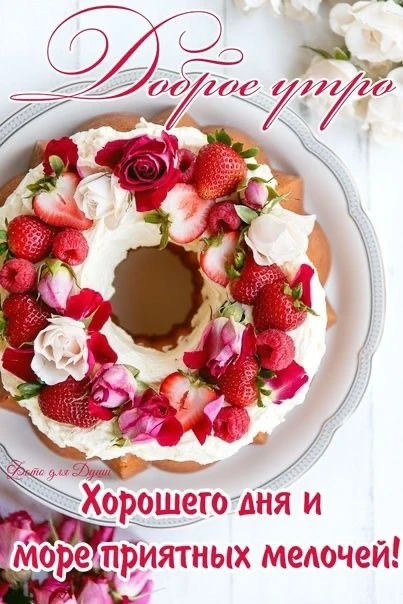 Доброе утро, дорогая группа!