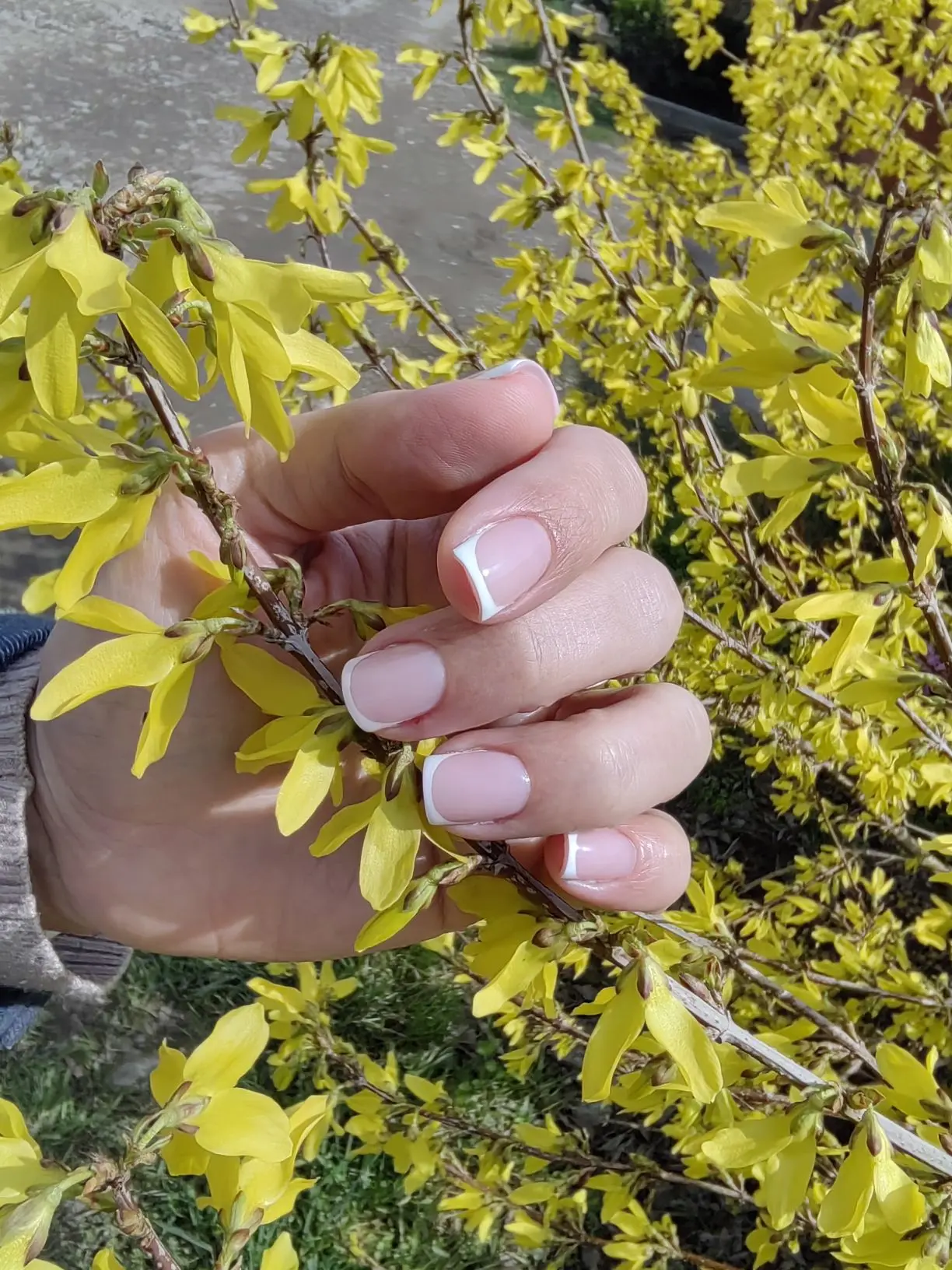 💛МАНИКЮР 💛