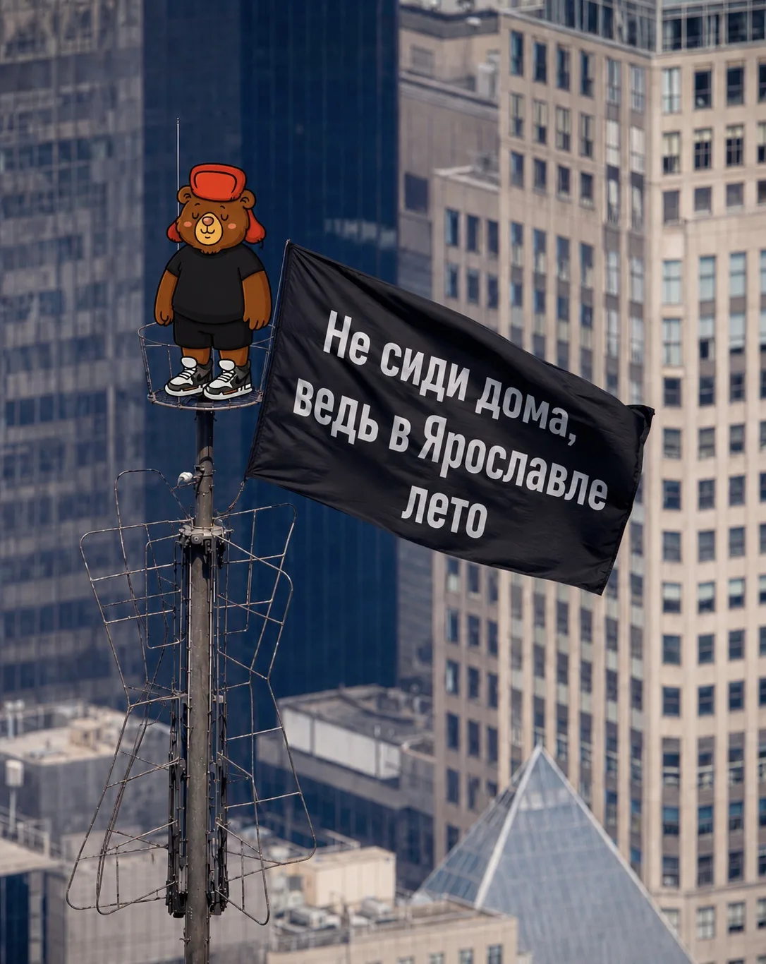 🤩 Залезли повыше, чтобы вы точно это прочитали