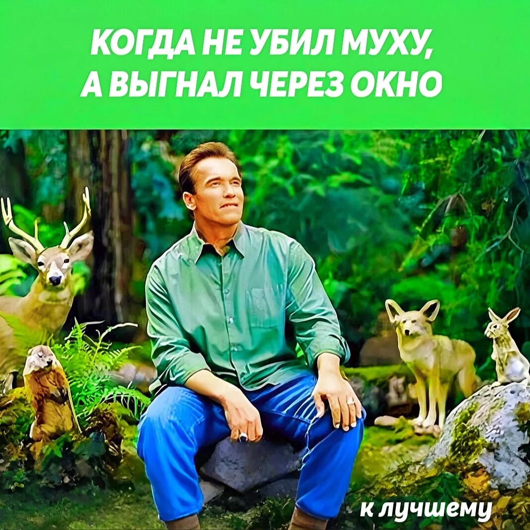 Добрых вам выходных!🌿💚

К лучшему!

макс // вконтакте
