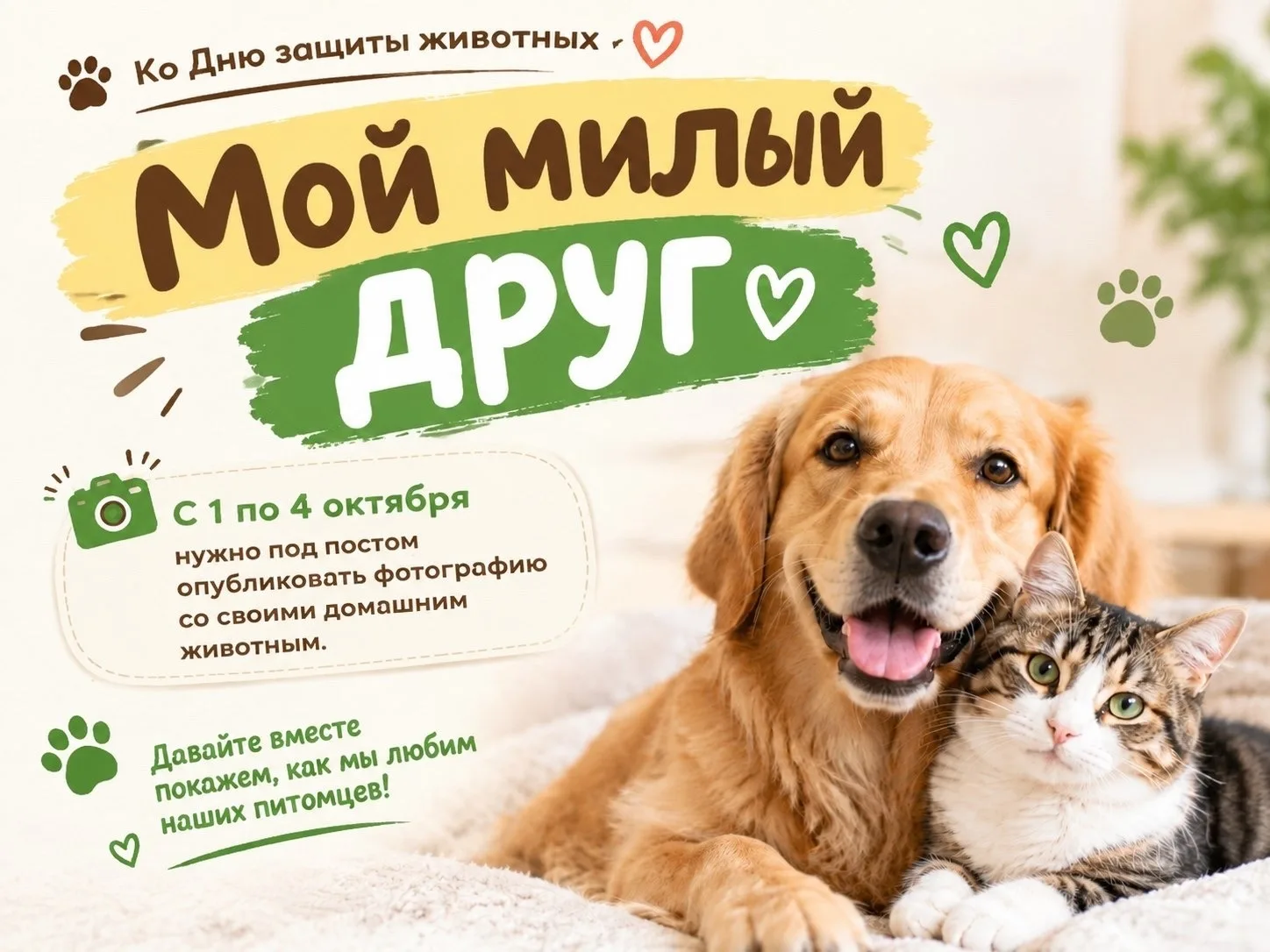 🐾 Акция  «Мой милый друг»!
