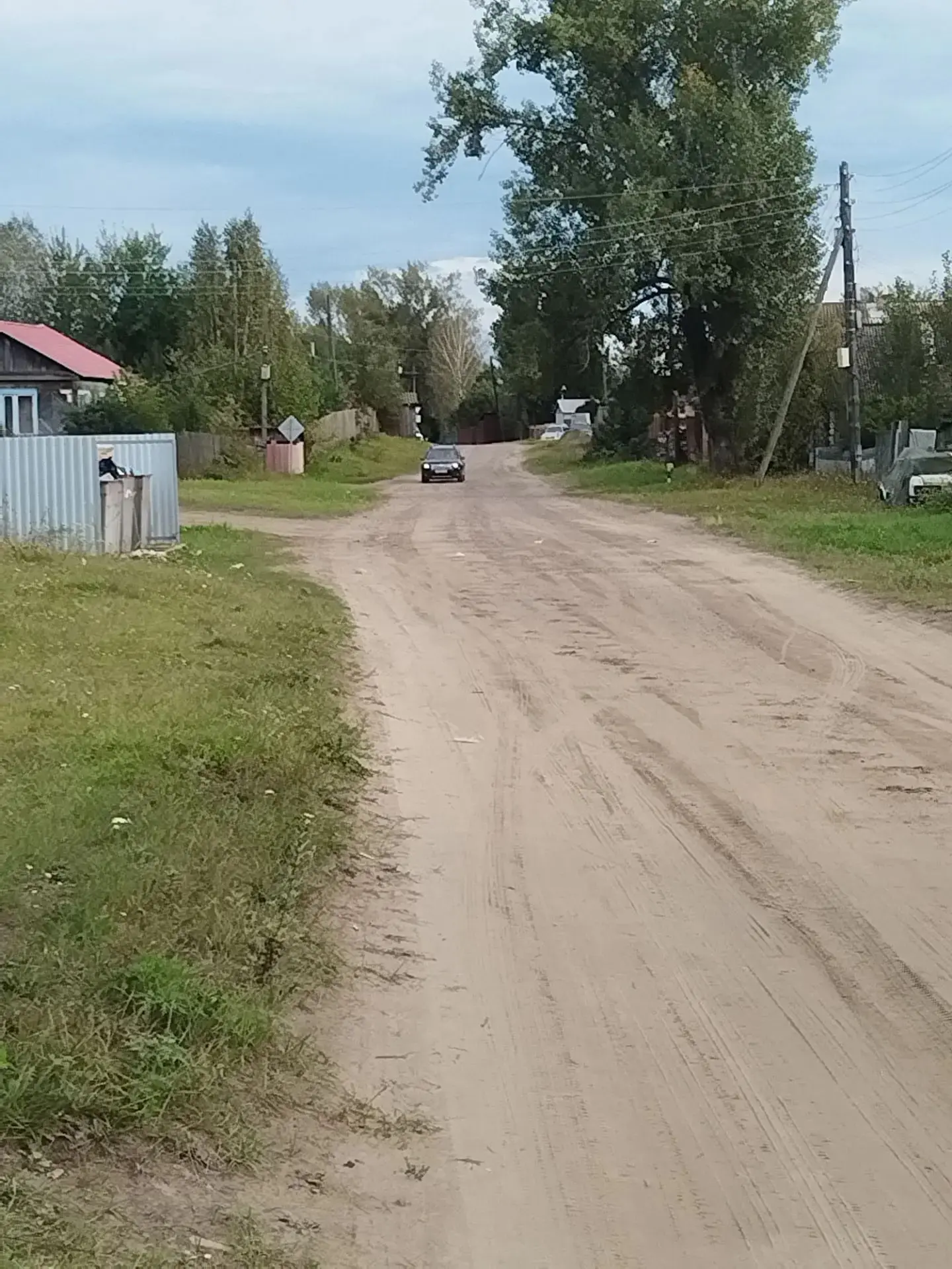 🐻 В Кононово медведь разгуливал по улицам: жители встревожены
