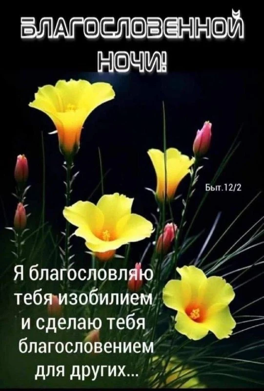 Благословенной ночи

Пусть Господь хранит твой сон и дарует сердцу мир. Спокойного вечера тебе и все