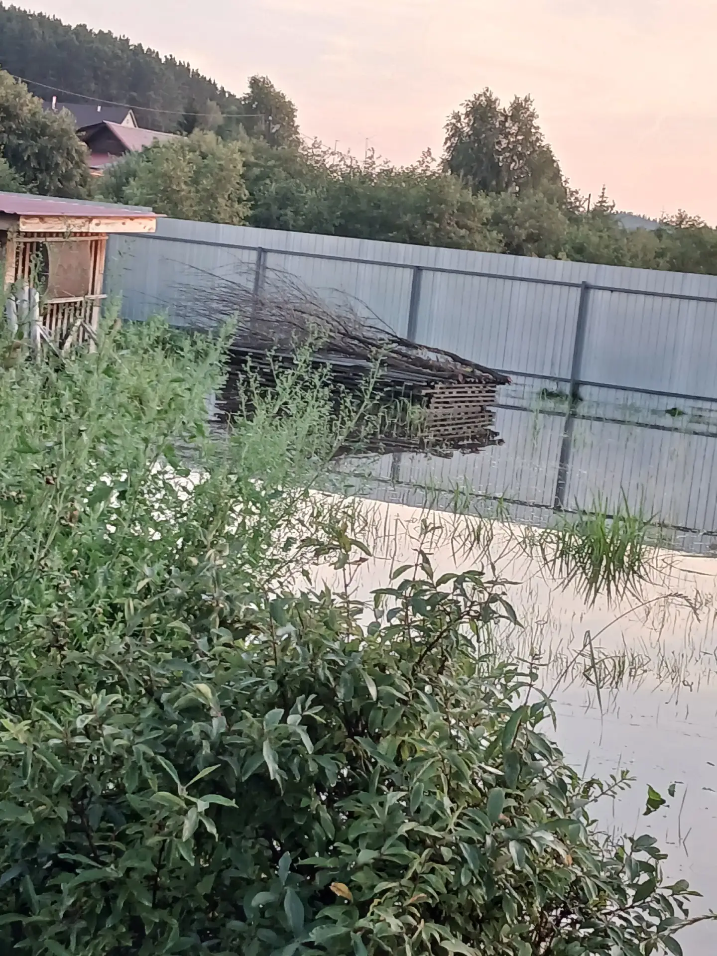 Косой Брод на 20.07.2026
