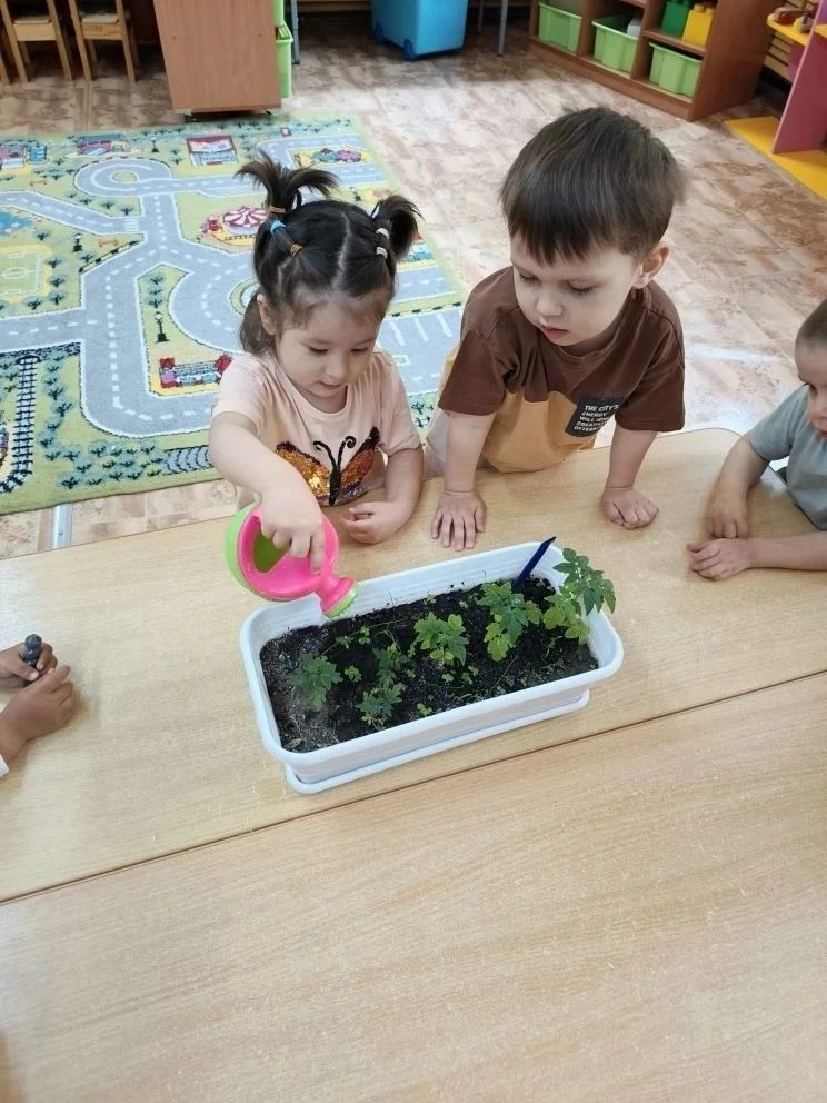Июнь- начало экологической 🐞🐜🌿🍀🪻смены в детском саду.