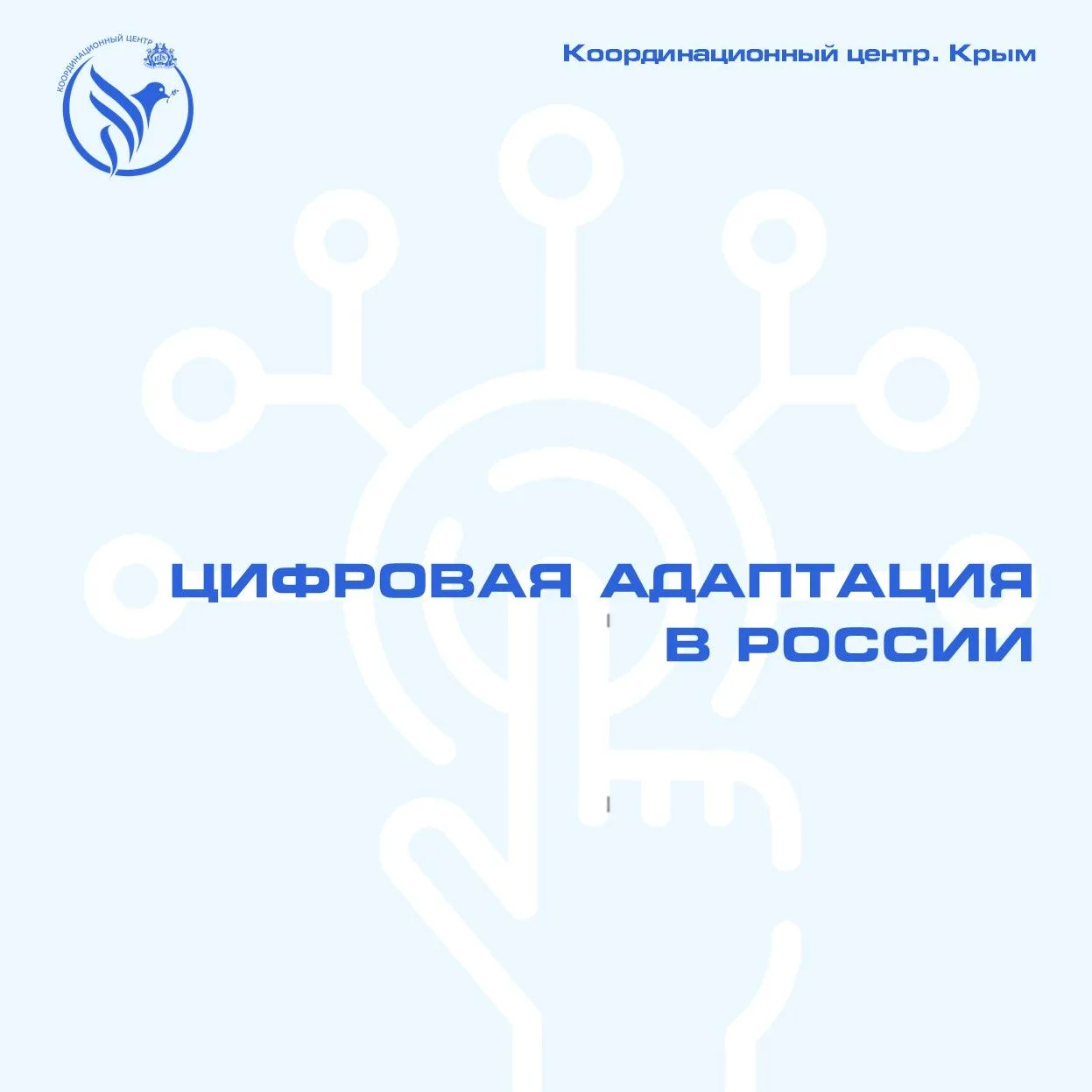 ✅Цифровая адаптация в России.