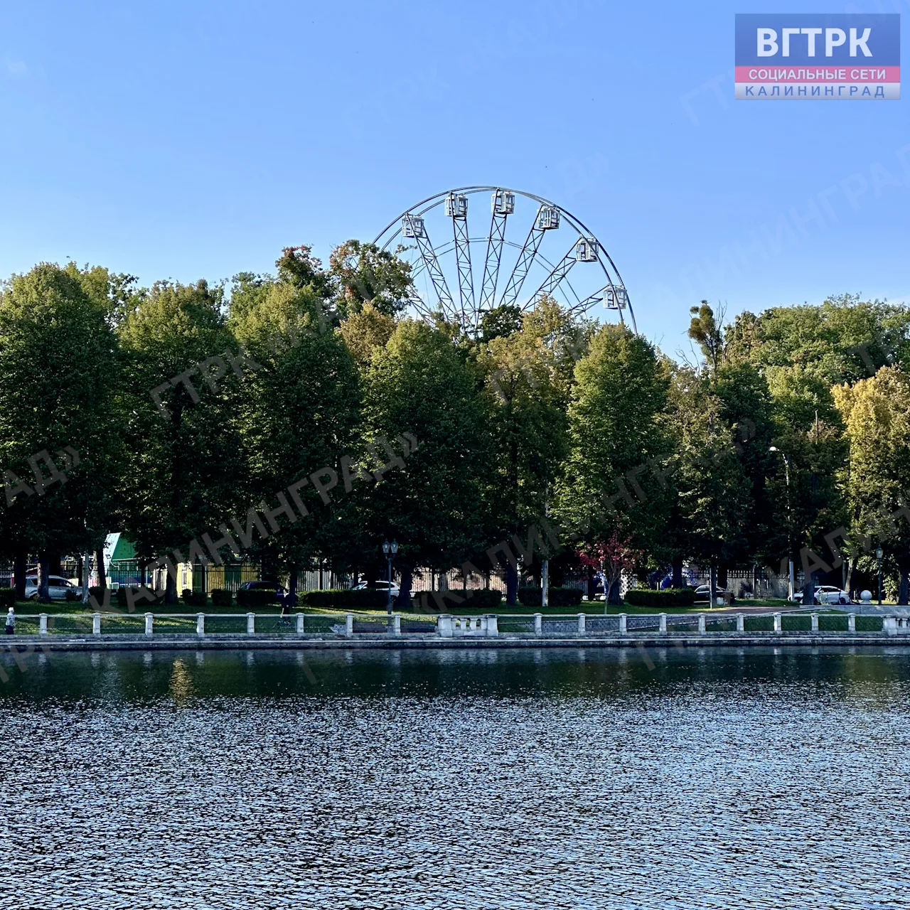 Изображение 9 к публикации «Вести - Калининград»