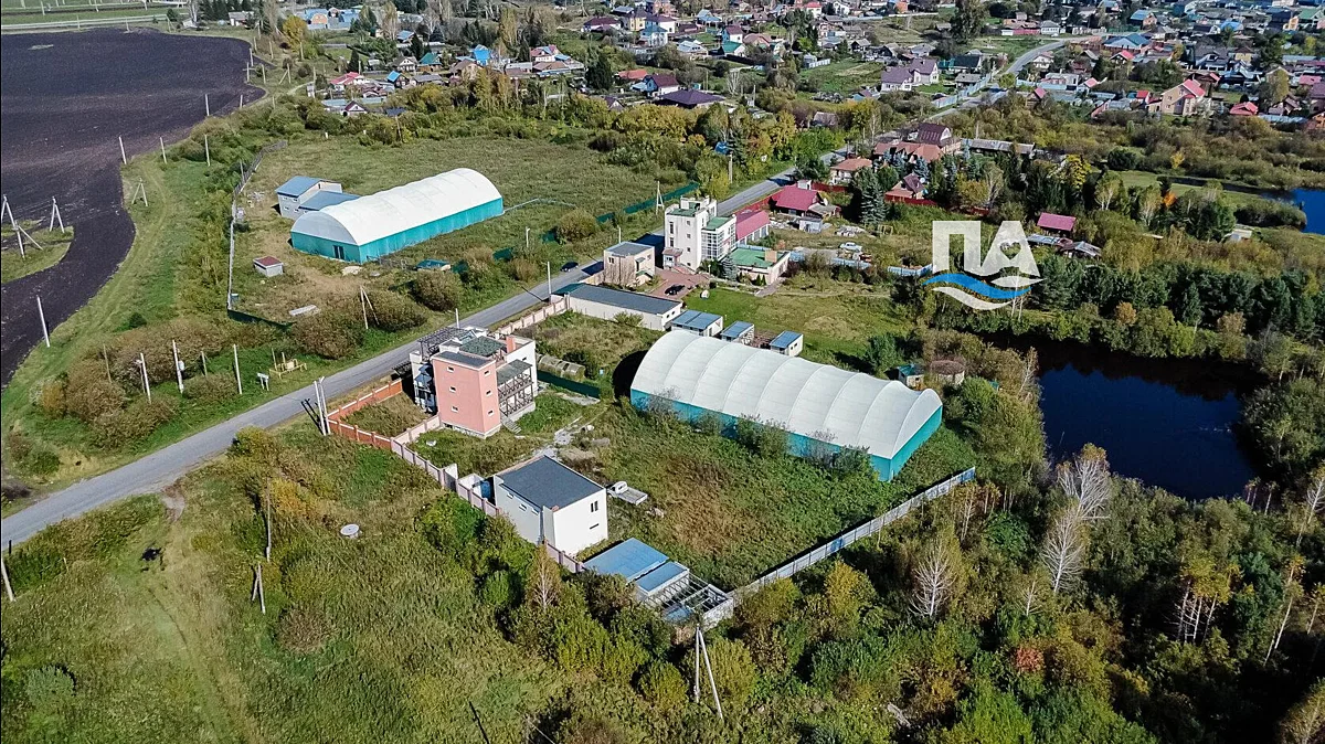 В Черданцево продают целое поместье с конюшней и манежем. За комплекс «ИВА» просят 120 ...