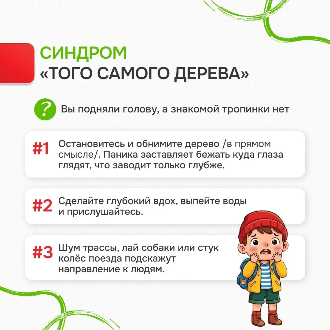 🌲 Лес без происшествий: инструкция для школьников  Лес — отличное место для прогулок, но важно помни
