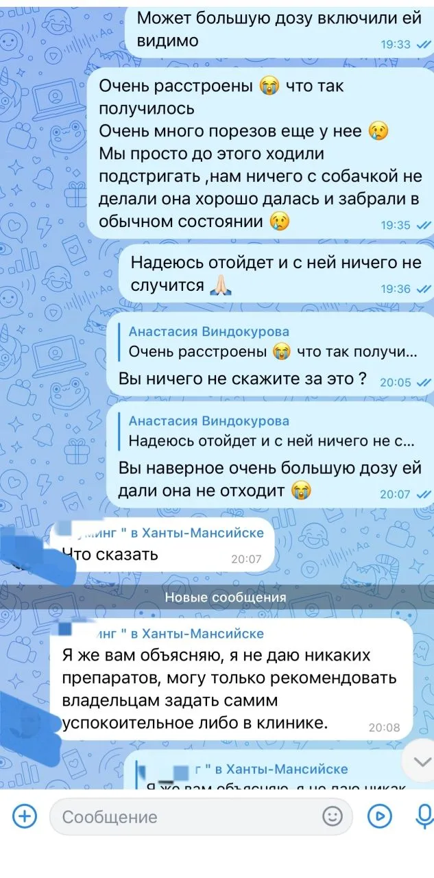 1 апреля 2026 года в 15:00 мы отвезли нашу собаку Лею породы Йоркширский терьер к грумеру Гр***нг в 