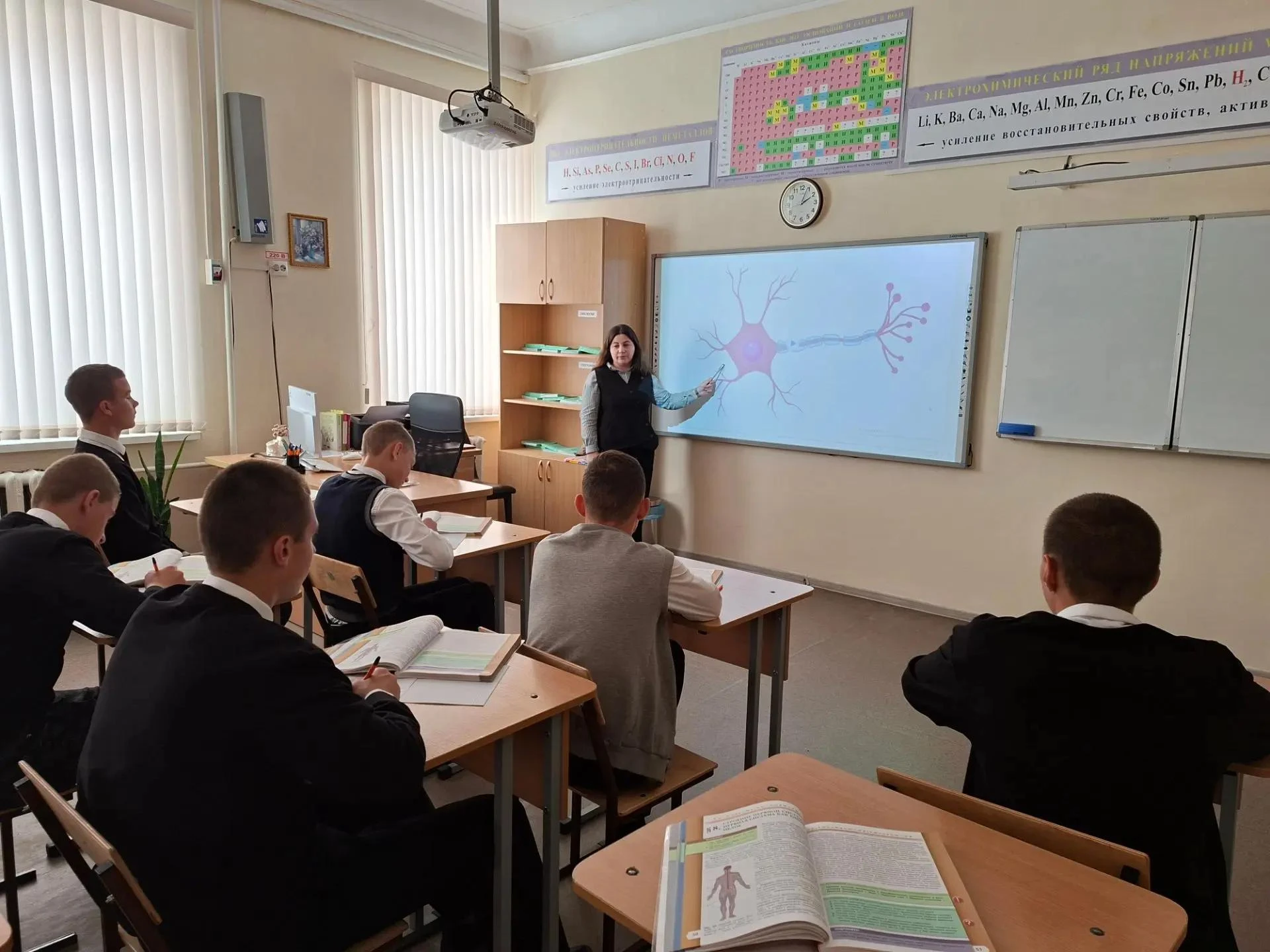🧠⚡️ Главный пульт управления: как мы изучали нервную систему