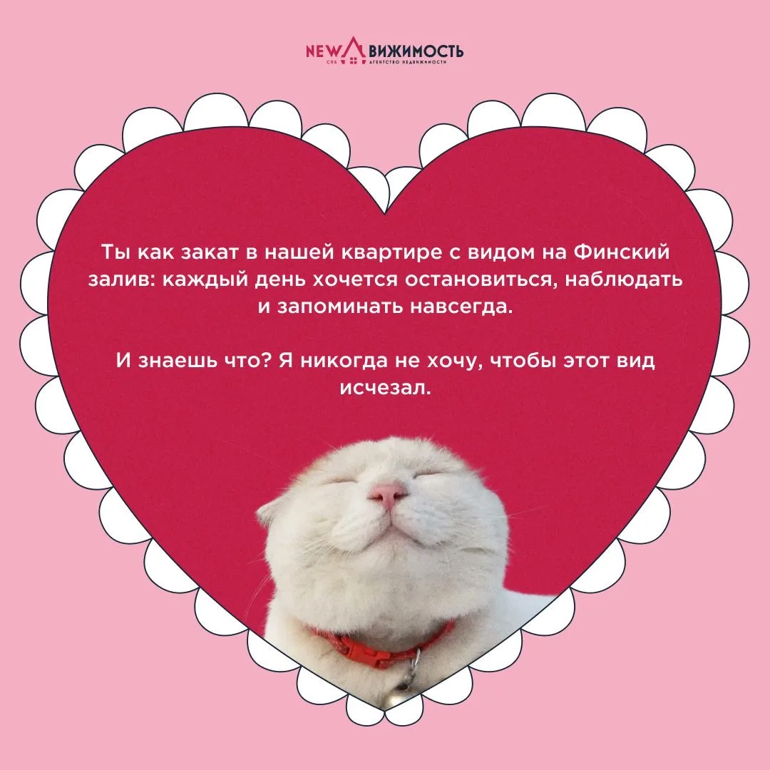💓 Рядом с вами уже живет ваш самый важный человек  Многие не признают 14 февраля как праздник всех в