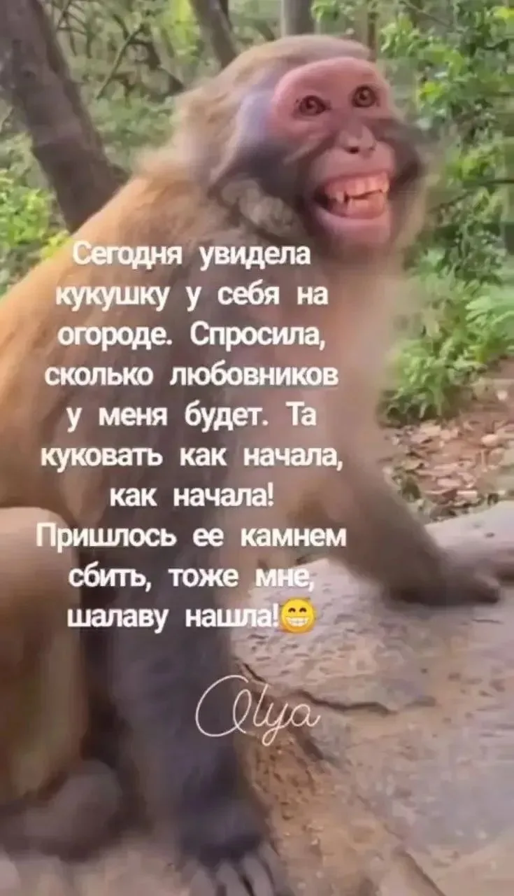ПРУFИКИ В МАХ
