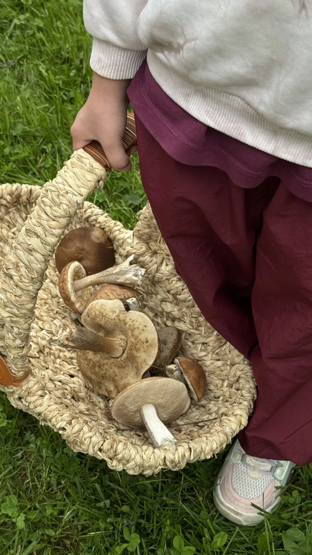 Грибов-то сколько - мама дорогая! Прям на участке🍄‍🟫🍄‍🟫🍄‍🟫