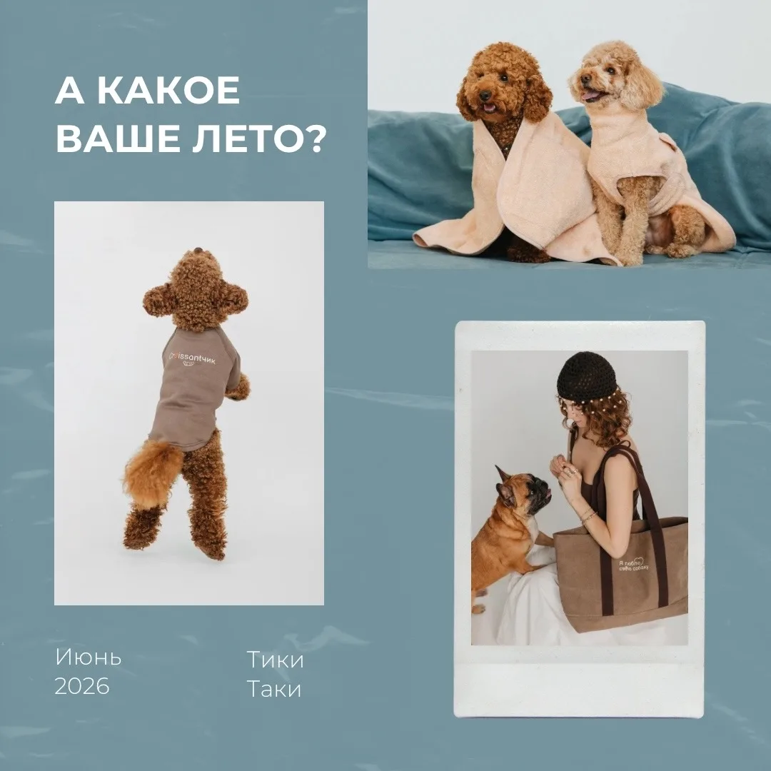 Здравствуй, лето!