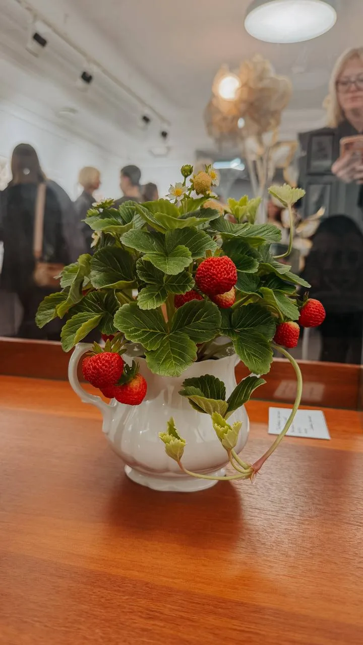 🍓 Что общего у клубники, металла и фарфора?