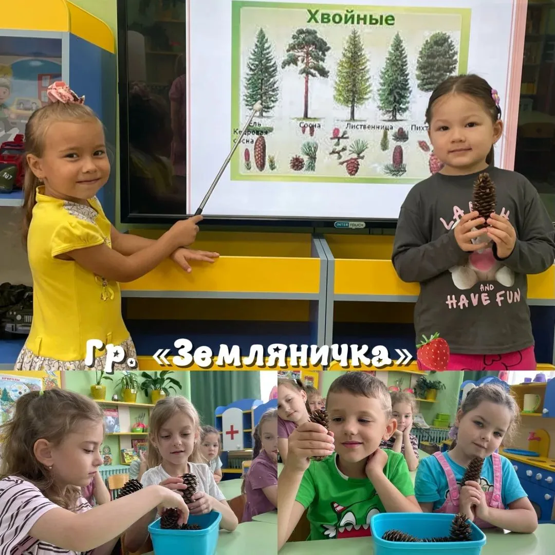 🌲 Зеленый дом полный чудес: говорим о лесе!
