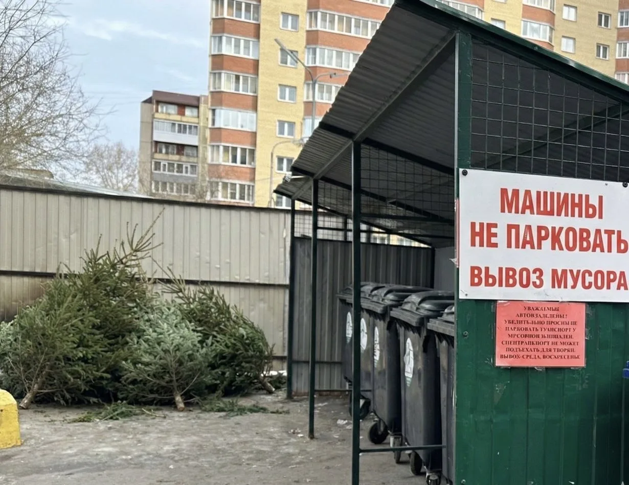 Елки готовы? 🤩🌲Уже в четверг начинаем сбор новогодних деревьев с контейнерных площадо...