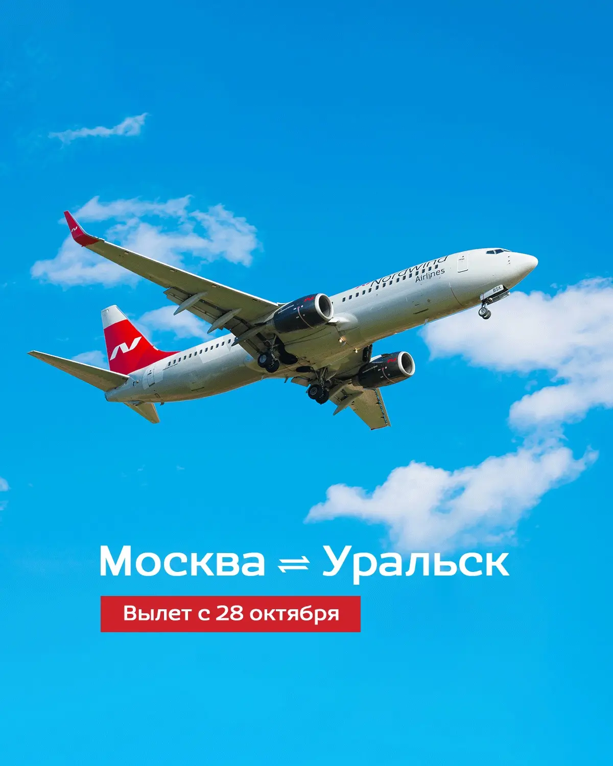 Расширяя горизонты 🙌