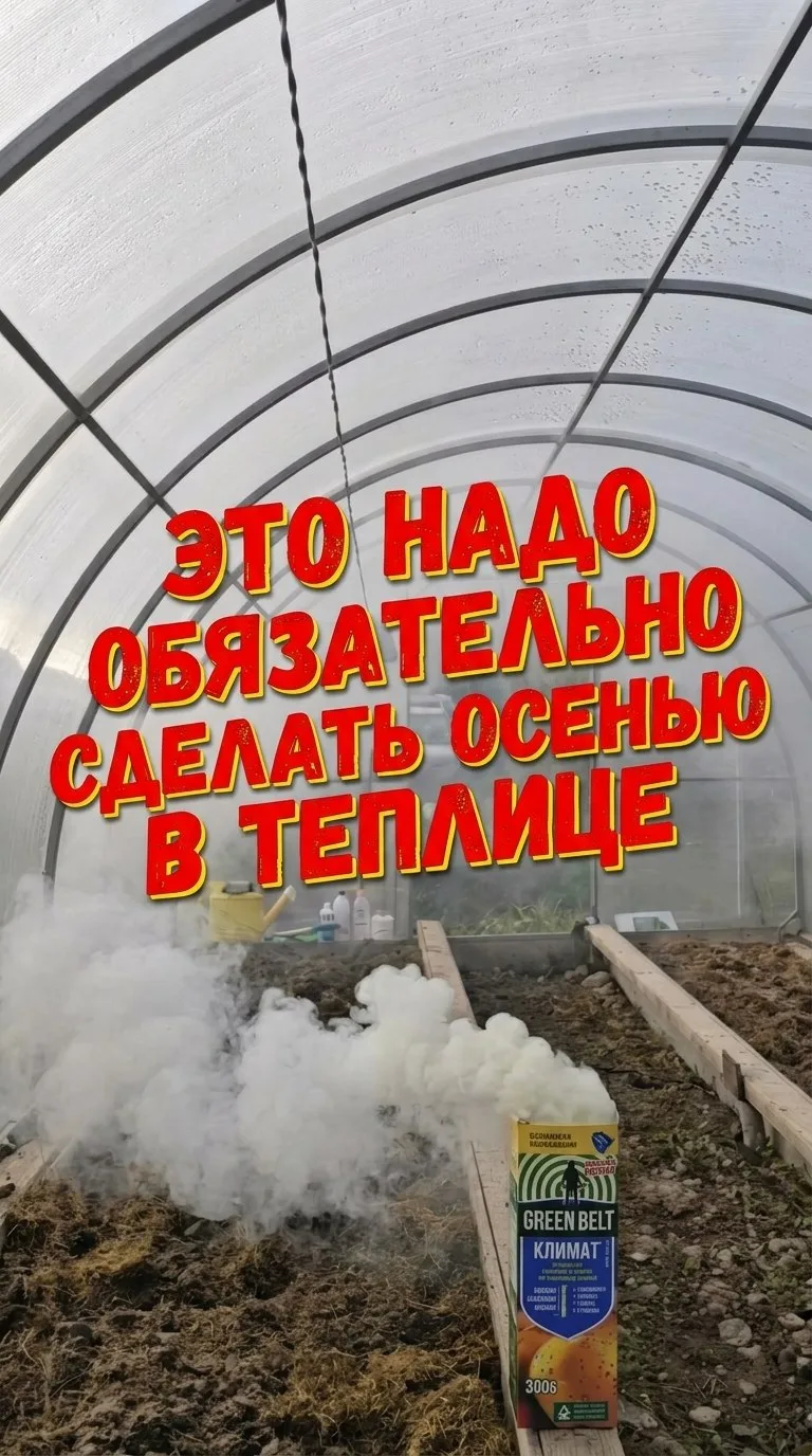 Девочки и наконец то последние штрихи в этом сезоне в теплице.