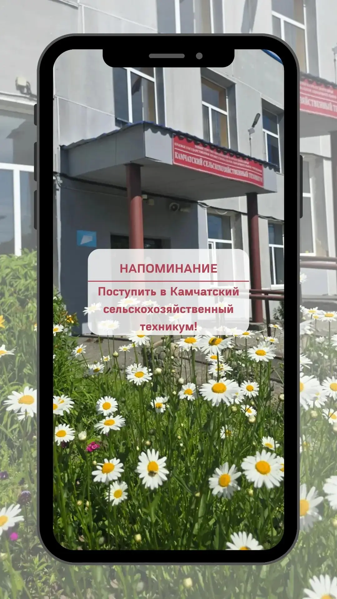 ФИНИШНАЯ ПРЯМАЯ! Приём до 14 августа включительно!