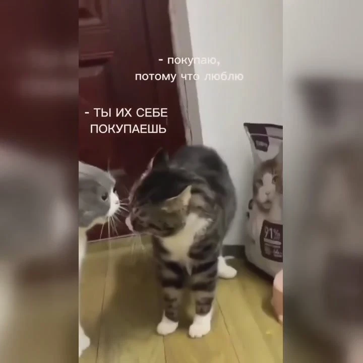 На море давно не возил, вот и скандал😆