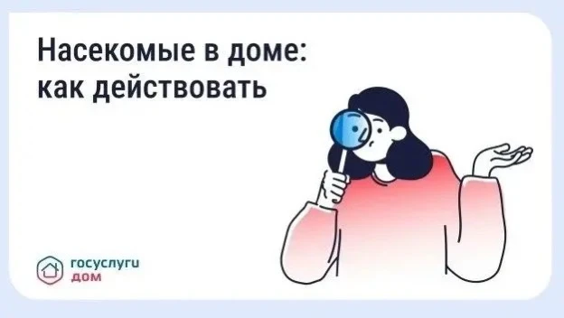 Борьба с насекомыми в многоквартирном доме
Появление тараканов, клопов, муравьёв или мокриц в подъез