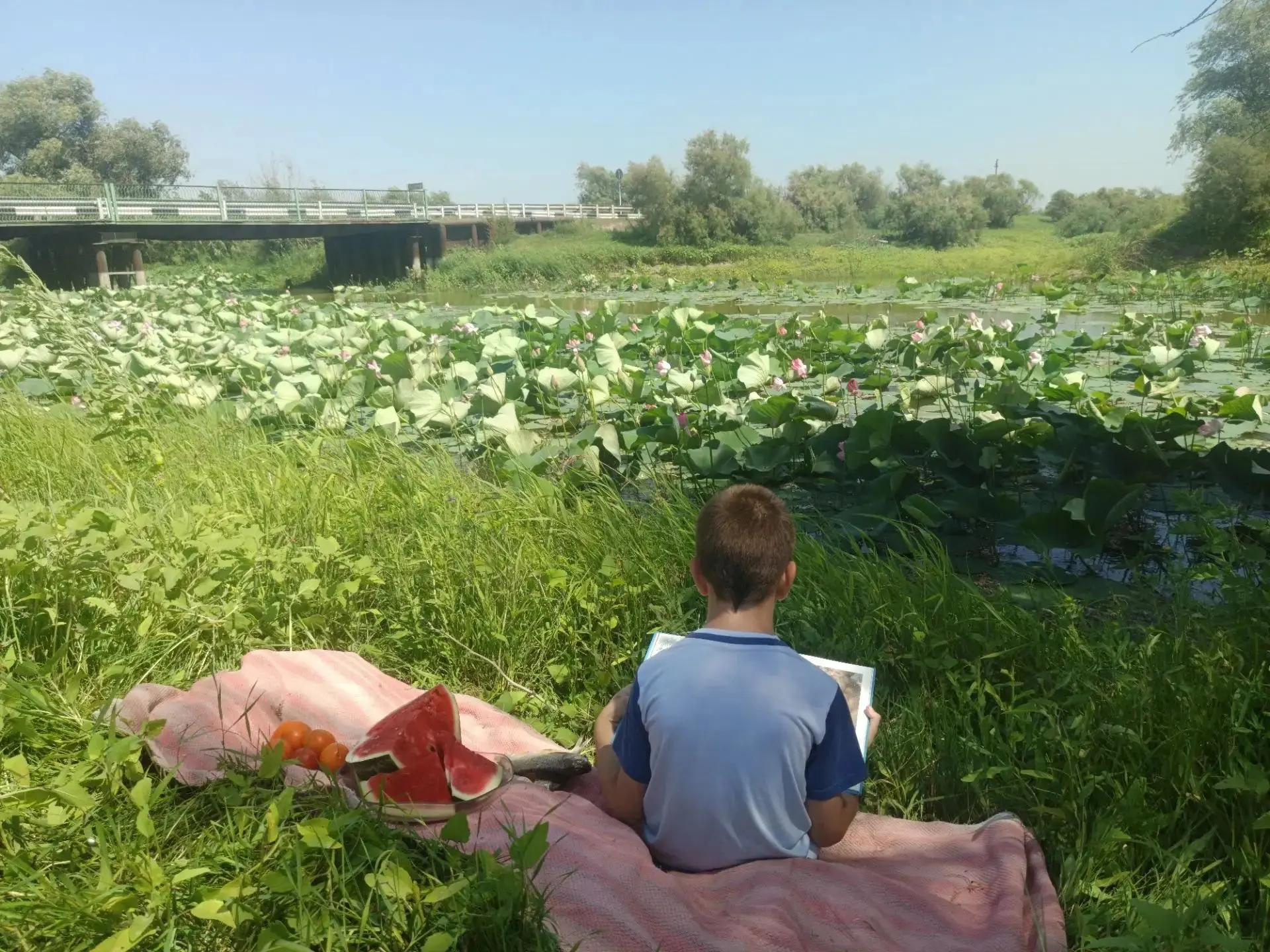 ☀️Доброе утро, дорогие друзья! Мы начинаем этот день с удивительного кадра, который, кажется, вмести