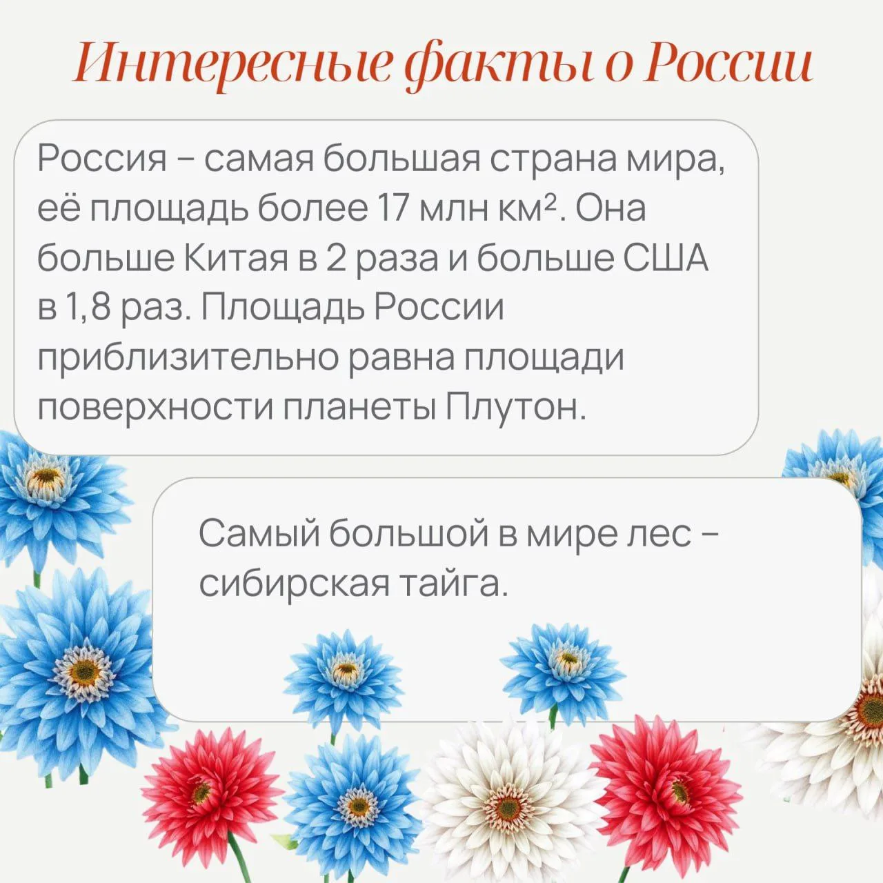 Главные рекорды России ✨