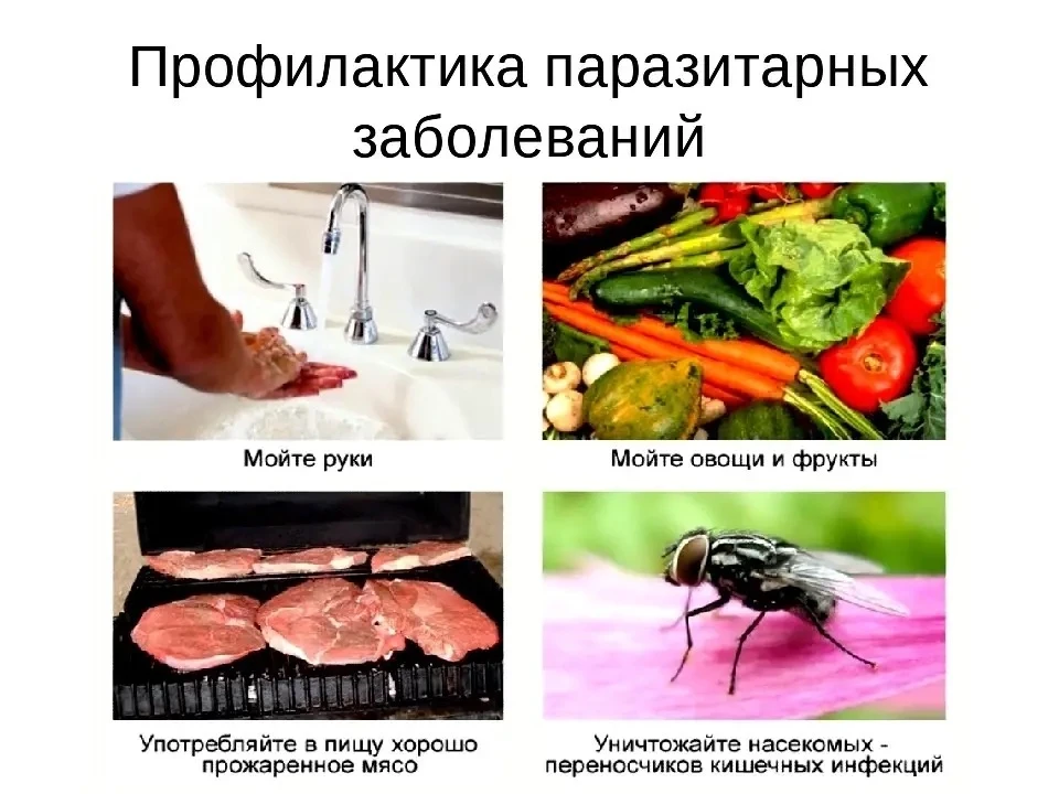 Профилактика гельминтозов.