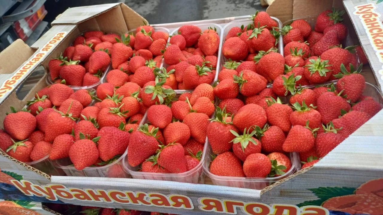 Сегодня новый привоз кубанской ягоды прямой поставки!  
Сладкая, 3 чашки, вес 1.8–2 кг.  
Цена: 1200