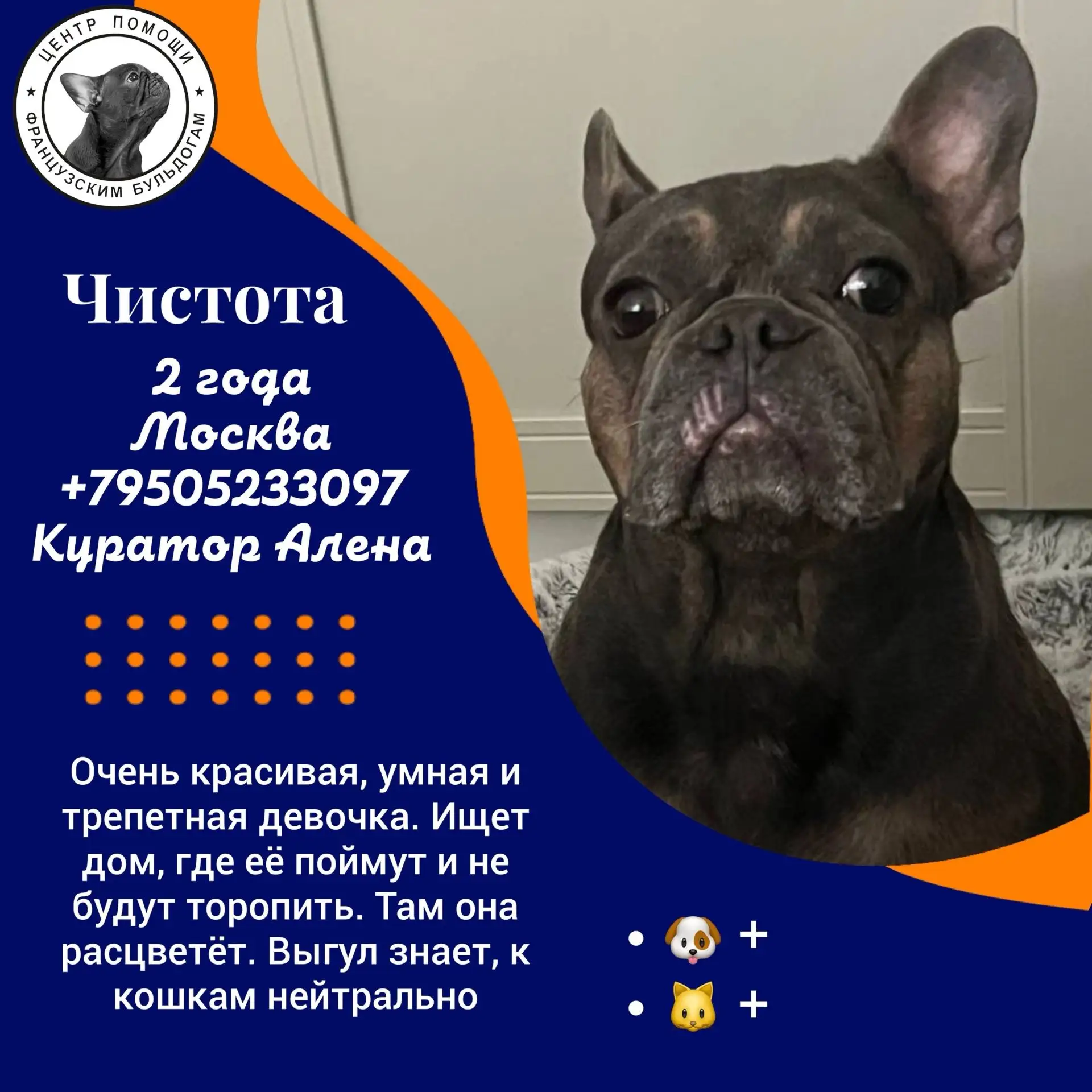 Скромная девочка #Чистота@sosbulldog

https://vk.ru/topic-144285450_61308568

Сначала она боялась вс