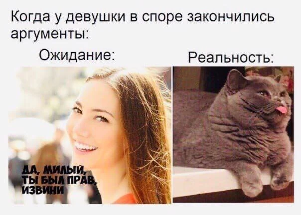 И как дальше спорить? 😅