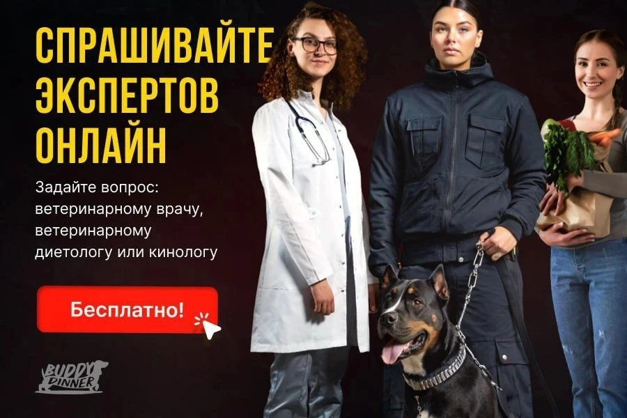 Бесплатные консультации в ВК от наших специалистов! 🐾  Кинолог 👉 https://vk.cc/cPXkuO  Ветеринарный 