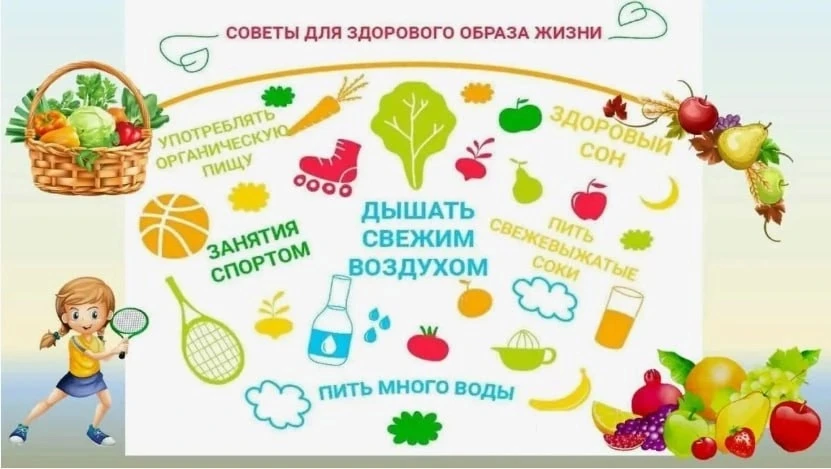 Основные компоненты ЗОЖ